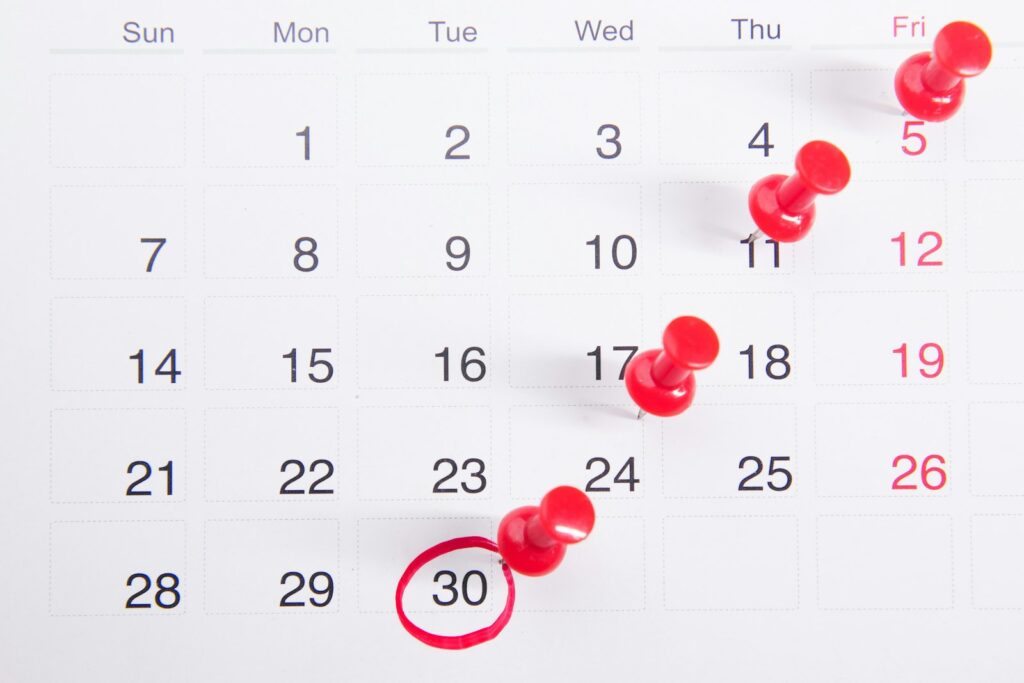 Calendar for booked calls from a high-converting landing page